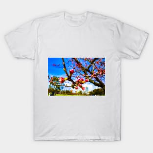 Photography - Fukuoka hanami T-Shirt